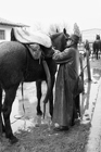 I Butteri della Maremma Azienda Regionale Agricola di Alberese