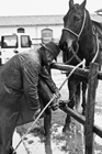 I Butteri della Maremma Azienda Regionale Agricola di Alberese