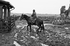 I Butteri della Maremma Azienda Regionale Agricola di Alberese