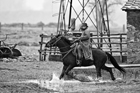 I Butteri della Maremma Azienda Regionale Agricola di Alberese