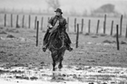I Butteri della Maremma Azienda Regionale Agricola di Alberese