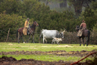 I Butteri della Maremma Azienda Regionale Agricola di Alberese