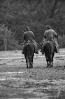 I Butteri della Maremma Azienda Regionale Agricola di Alberese