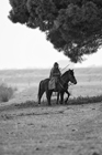 I Butteri della Maremma Azienda Regionale Agricola di Alberese