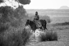 I Butteri della Maremma Azienda Regionale Agricola di Alberese