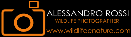 http://www.wildlifeenature.com